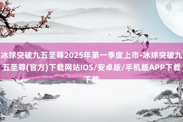 冰球突破九五至尊2025年第一季度上市-冰球突破九五至尊(官方)下载网站IOS/安卓版/手机版APP下载