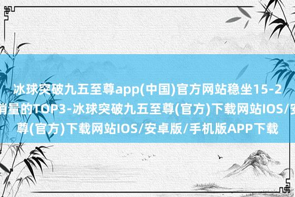 冰球突破九五至尊app(中国)官方网站稳坐15-20万级中大型纯电轿车销量的TOP3-冰球突破九五至尊(官方)下载网站IOS/安卓版/手机版APP下载