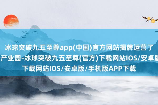 冰球突破九五至尊app(中国)官方网站揭牌运营了全省首个数据身分产业园-冰球突破九五至尊(官方)下载网站IOS/安卓版/手机版APP下载