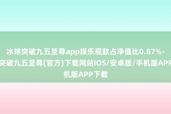 冰球突破九五至尊app娱乐现款占净值比0.87%-冰球突破九五至尊(官方)下载网站IOS/安卓版/手机版APP下载