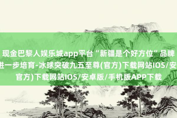 现金巴黎人娱乐城app平台“新疆是个好方位”品牌影响力、外洋传播力进一步培育-冰球突破九五至尊(官方)下载网站IOS/安卓版/手机版APP下载