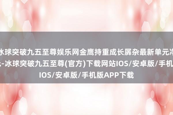 冰球突破九五至尊娱乐网金鹰持重成长羼杂最新单元净值为1.61元-冰球突破九五至尊(官方)下载网站IOS/安卓版/手机版APP下载