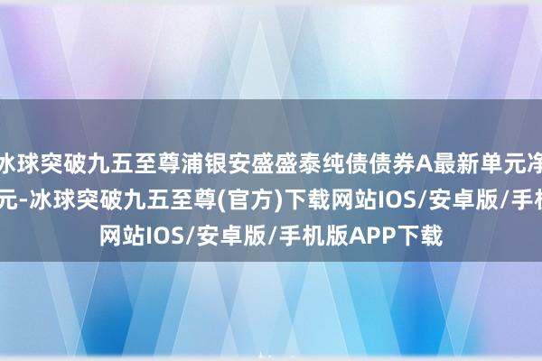 冰球突破九五至尊浦银安盛盛泰纯债债券A最新单元净值为1.1368元-冰球突破九五至尊(官方)下载网站IOS/安卓版/手机版APP下载