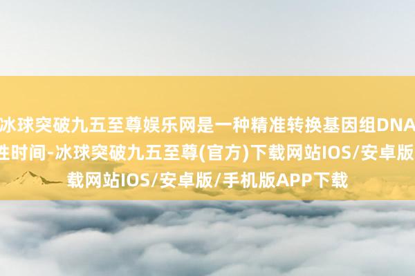 冰球突破九五至尊娱乐网是一种精准转换基因组DNA特定序列的立异性时间-冰球突破九五至尊(官方)下载网站IOS/安卓版/手机版APP下载