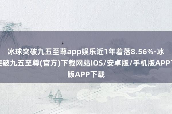 冰球突破九五至尊app娱乐近1年着落8.56%-冰球突破九五至尊(官方)下载网站IOS/安卓版/手机版APP下载