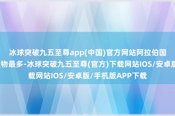 冰球突破九五至尊app(中国)官方网站　　阿拉伯国度入口埃及加工食物最多-冰球突破九五至尊(官方)下载网站IOS/安卓版/手机版APP下载