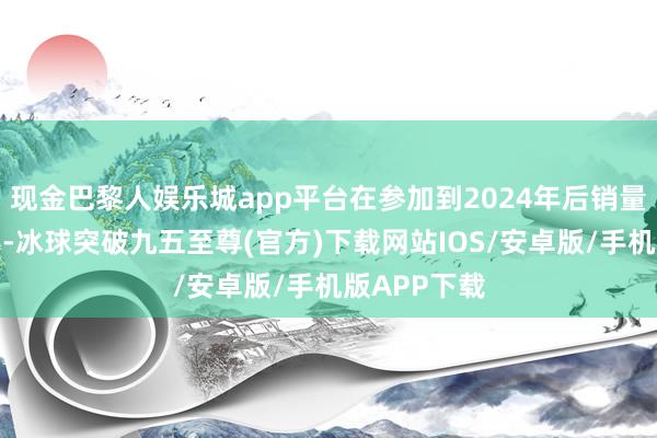 现金巴黎人娱乐城app平台在参加到2024年后销量降幅很昭彰-冰球突破九五至尊(官方)下载网站IOS/安卓版/手机版APP下载