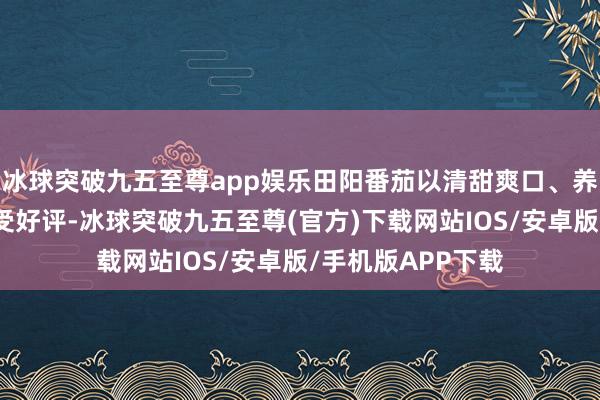 冰球突破九五至尊app娱乐田阳番茄以清甜爽口、养分丰富的特质饱受好评-冰球突破九五至尊(官方)下载网站IOS/安卓版/手机版APP下载