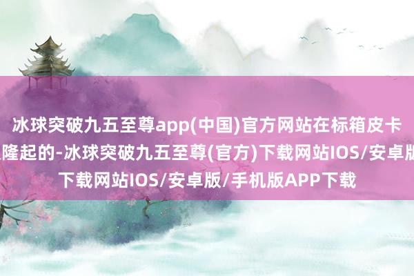 冰球突破九五至尊app(中国)官方网站在标箱皮卡内辖下于发达至极隆起的-冰球突破九五至尊(官方)下载网站IOS/安卓版/手机版APP下载