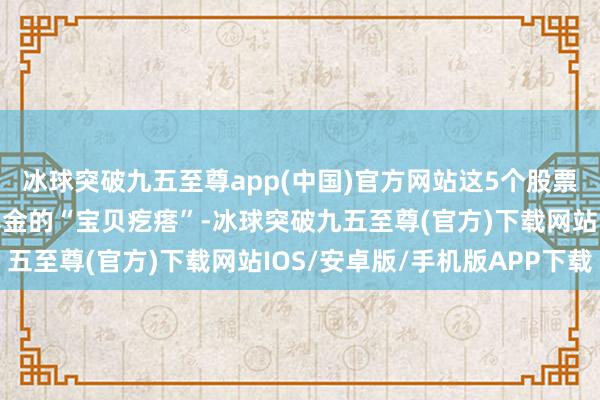 冰球突破九五至尊app(中国)官方网站这5个股票然而社保基金和养老基金的“宝贝疙瘩”-冰球突破九五至尊(官方)下载网站IOS/安卓版/手机版APP下载