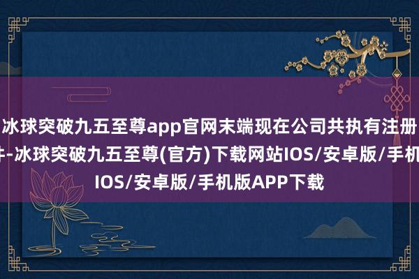 冰球突破九五至尊app官网末端现在公司共执有注册商标1869件-冰球突破九五至尊(官方)下载网站IOS/安卓版/手机版APP下载