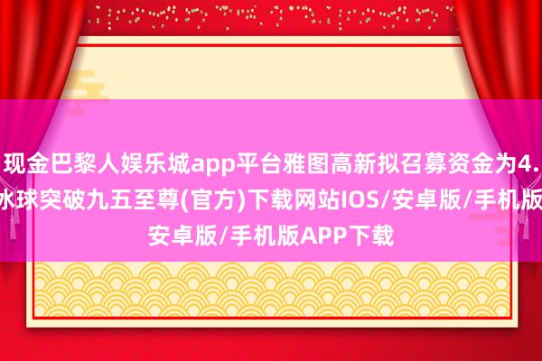 现金巴黎人娱乐城app平台雅图高新拟召募资金为4.31亿元-冰球突破九五至尊(官方)下载网站IOS/安卓版/手机版APP下载