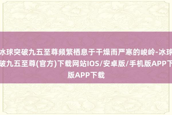 冰球突破九五至尊频繁栖息于干燥而严寒的峻岭-冰球突破九五至尊(官方)下载网站IOS/安卓版/手机版APP下载