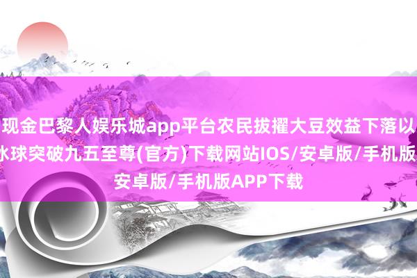 现金巴黎人娱乐城app平台农民拔擢大豆效益下落以致亏欠-冰球突破九五至尊(官方)下载网站IOS/安卓版/手机版APP下载