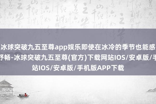 冰球突破九五至尊app娱乐即使在冰冷的季节也能感受到阳光般的舒畅-冰球突破九五至尊(官方)下载网站IOS/安卓版/手机版APP下载