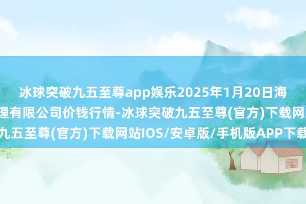 冰球突破九五至尊app娱乐2025年1月20日海南凤翔蔬菜批发市集料理有限公司价钱行情-冰球突破九五至尊(官方)下载网站IOS/安卓版/手机版APP下载