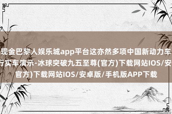 现金巴黎人娱乐城app平台这亦然多项中国新动力车技巧初度在尼泊尔进行实车演示-冰球突破九五至尊(官方)下载网站IOS/安卓版/手机版APP下载