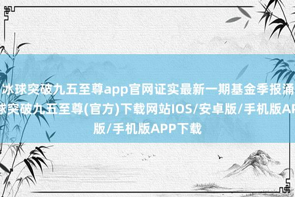 冰球突破九五至尊app官网证实最新一期基金季报涌现-冰球突破九五至尊(官方)下载网站IOS/安卓版/手机版APP下载