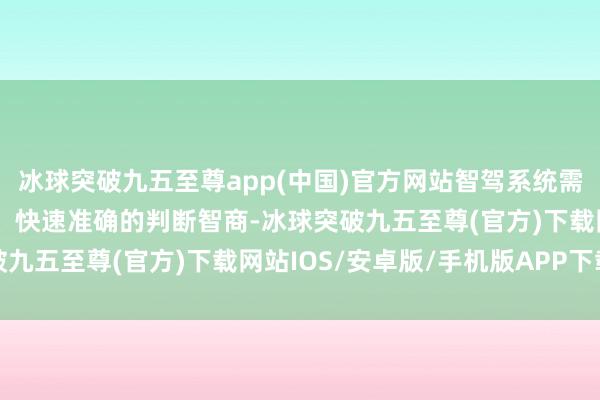 冰球突破九五至尊app(中国)官方网站智驾系统需要刚劲全面的识别智商、快速准确的判断智商-冰球突破九五至尊(官方)下载网站IOS/安卓版/手机版APP下载