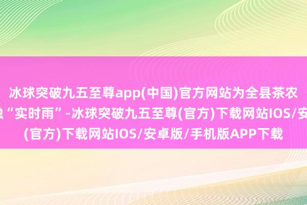 冰球突破九五至尊app(中国)官方网站为全县茶农、茶企、茶园送去金融“实时雨”-冰球突破九五至尊(官方)下载网站IOS/安卓版/手机版APP下载